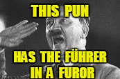 THIS  PUN HAS  THE  FÜHRER  IN  A  FUROR | made w/ Imgflip meme maker