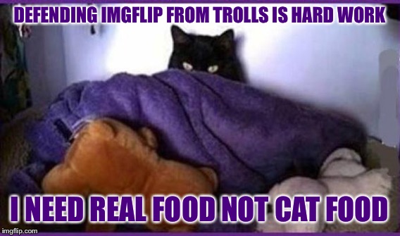 DEFENDING IMGFLIP FROM TROLLS IS HARD WORK I NEED REAL FOOD NOT CAT FOOD | made w/ Imgflip meme maker