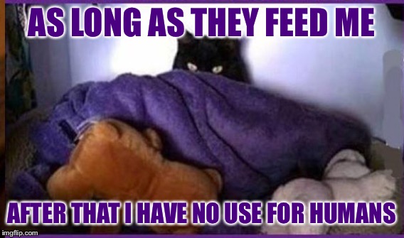 AS LONG AS THEY FEED ME AFTER THAT I HAVE NO USE FOR HUMANS | made w/ Imgflip meme maker