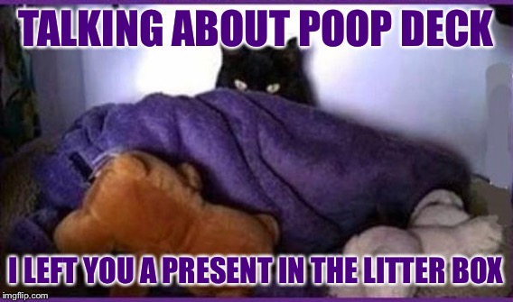 TALKING ABOUT POOP DECK I LEFT YOU A PRESENT IN THE LITTER BOX | made w/ Imgflip meme maker