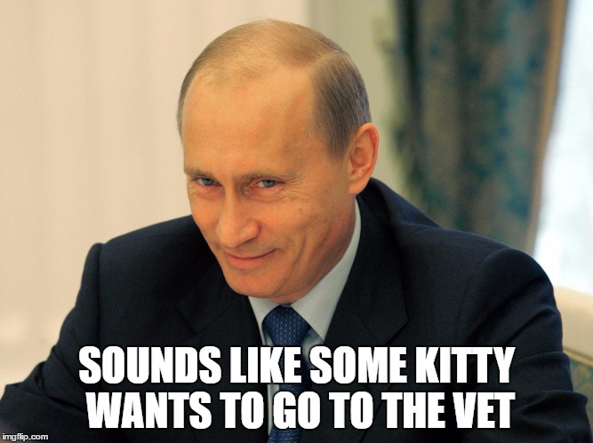 SOUNDS LIKE SOME KITTY WANTS TO GO TO THE VET | made w/ Imgflip meme maker