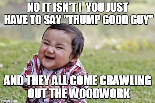 Evil Toddler Meme | NO IT ISN'T !  YOU JUST HAVE TO SAY "TRUMP GOOD GUY" AND THEY ALL COME CRAWLING OUT THE WOODWORK | image tagged in memes,evil toddler | made w/ Imgflip meme maker