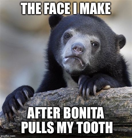 Confession Bear Meme | THE FACE I MAKE; AFTER BONITA PULLS MY TOOTH | image tagged in memes,confession bear | made w/ Imgflip meme maker