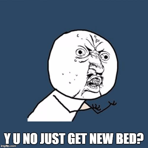 Y U No Meme | Y U NO JUST GET NEW BED? | image tagged in memes,y u no | made w/ Imgflip meme maker