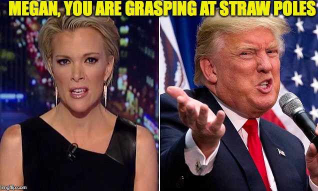 MEGAN, YOU ARE GRASPING AT STRAW POLES | made w/ Imgflip meme maker