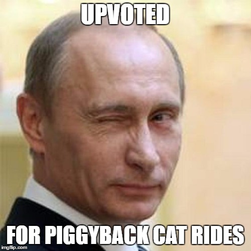 Putin Wink | UPVOTED FOR PIGGYBACK CAT RIDES | image tagged in putin wink | made w/ Imgflip meme maker