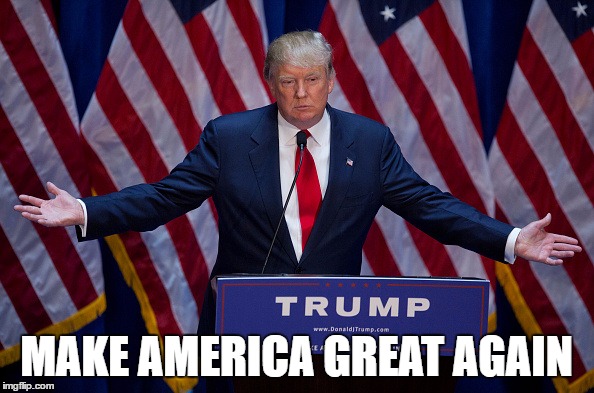 Trump Bruh | MAKE AMERICA GREAT AGAIN | image tagged in trump bruh | made w/ Imgflip meme maker