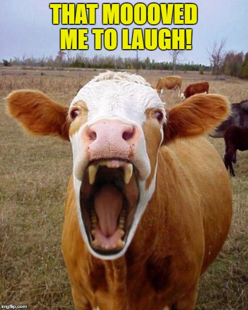 THAT MOOOVED ME TO LAUGH! | made w/ Imgflip meme maker