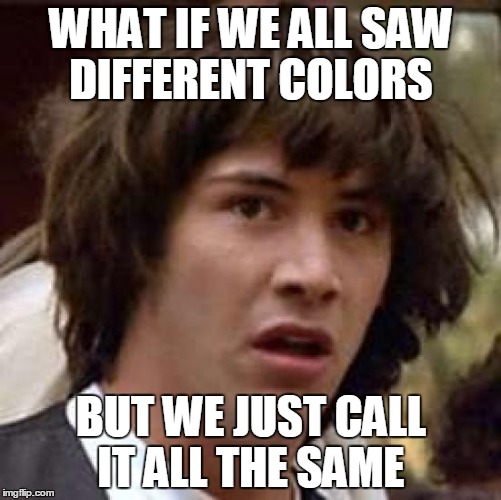 Conspiracy Keanu Meme | WHAT IF WE ALL SAW DIFFERENT COLORS; BUT WE JUST CALL IT ALL THE SAME | image tagged in memes,conspiracy keanu | made w/ Imgflip meme maker