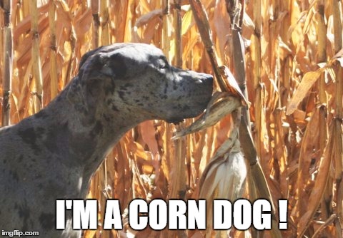 I'M A CORN DOG ! | made w/ Imgflip meme maker