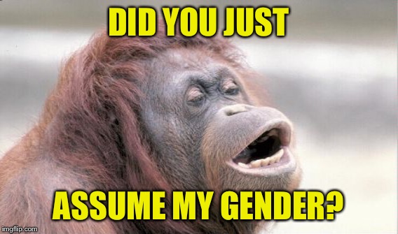 DID YOU JUST ASSUME MY GENDER? | made w/ Imgflip meme maker