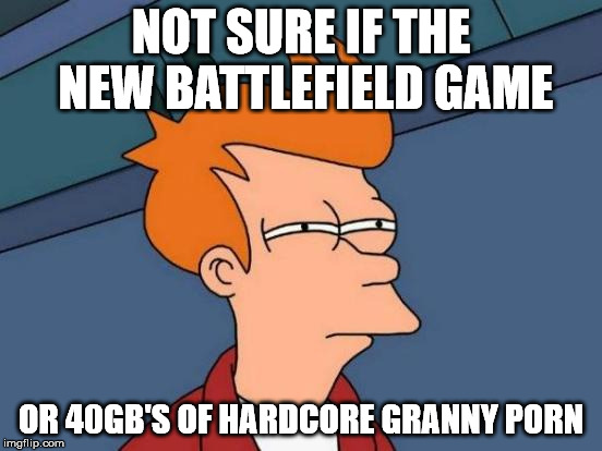 Futurama Fry Meme | NOT SURE IF THE NEW BATTLEFIELD GAME OR 40GB'S OF HARDCORE GRANNY PORN | image tagged in memes,futurama fry | made w/ Imgflip meme maker