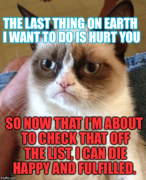 Grumpy Cat | THE LAST THING ON EARTH I WANT TO DO IS HURT YOU; SO NOW THAT I'M ABOUT TO CHECK THAT OFF THE LIST, I CAN DIE HAPPY AND FULFILLED. | image tagged in memes,grumpy cat | made w/ Imgflip meme maker