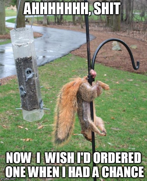Squirrel NUTs  | AHHHHHHH, SHIT; NOW  I  WISH I'D ORDERED ONE WHEN I HAD A CHANCE | image tagged in squirrel nuts | made w/ Imgflip meme maker