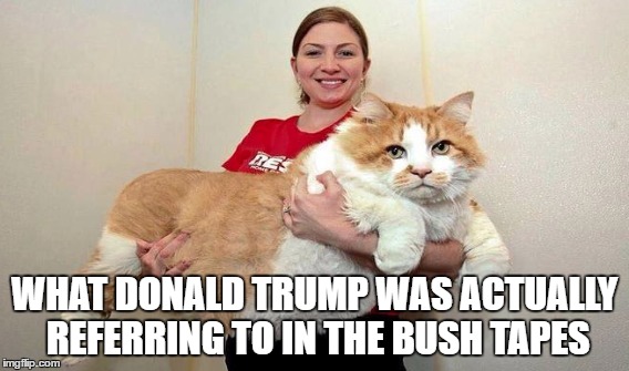 WHAT DONALD TRUMP WAS ACTUALLY REFERRING TO IN THE BUSH TAPES | image tagged in trump pussy meme | made w/ Imgflip meme maker
