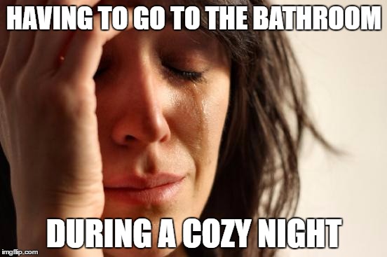 First World Problems | HAVING TO GO TO THE BATHROOM; DURING A COZY NIGHT | image tagged in memes,first world problems | made w/ Imgflip meme maker