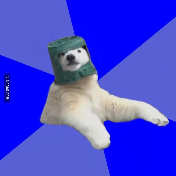 High Quality Poorly Prepared Polar Bear  Blank Meme Template