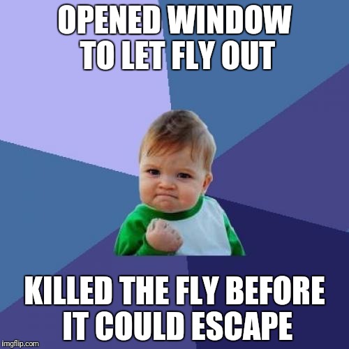 Success Kid | OPENED WINDOW TO LET FLY OUT; KILLED THE FLY BEFORE IT COULD ESCAPE | image tagged in memes,success kid | made w/ Imgflip meme maker