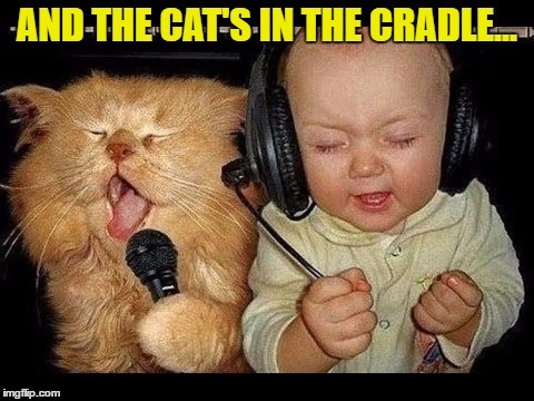 Karaoke Night | . | image tagged in memes,cat stevens,baby,karaoke,cat | made w/ Imgflip meme maker