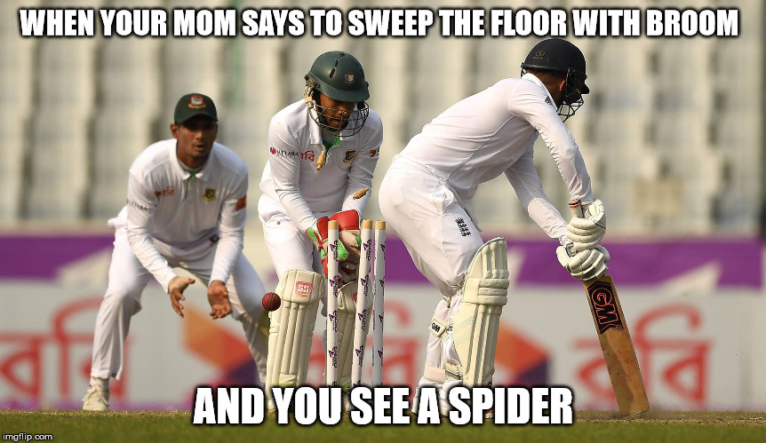 WHEN YOUR MOM SAYS TO SWEEP THE FLOOR WITH BROOM; AND YOU SEE A SPIDER | image tagged in retard,cricket | made w/ Imgflip meme maker