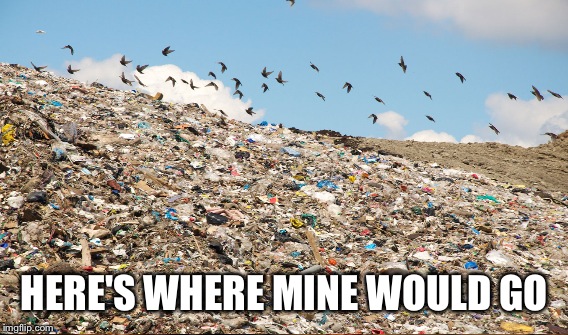 HERE'S WHERE MINE WOULD GO | made w/ Imgflip meme maker