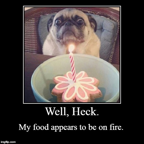 Well, heck. | image tagged in funny,demotivationals,dog,memes | made w/ Imgflip demotivational maker