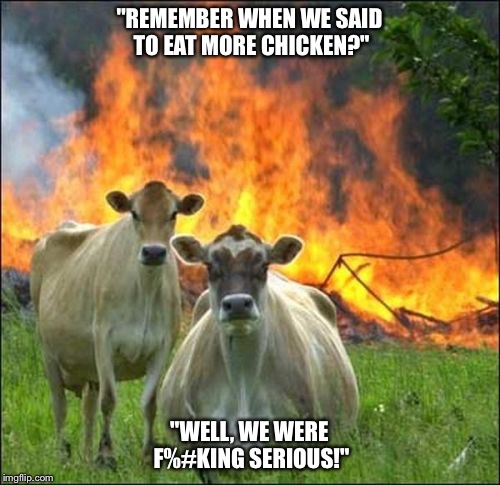 Mad cow. | "REMEMBER WHEN WE SAID TO EAT MORE CHICKEN?"; "WELL, WE WERE F%#KING SERIOUS!" | image tagged in memes,evil cows | made w/ Imgflip meme maker