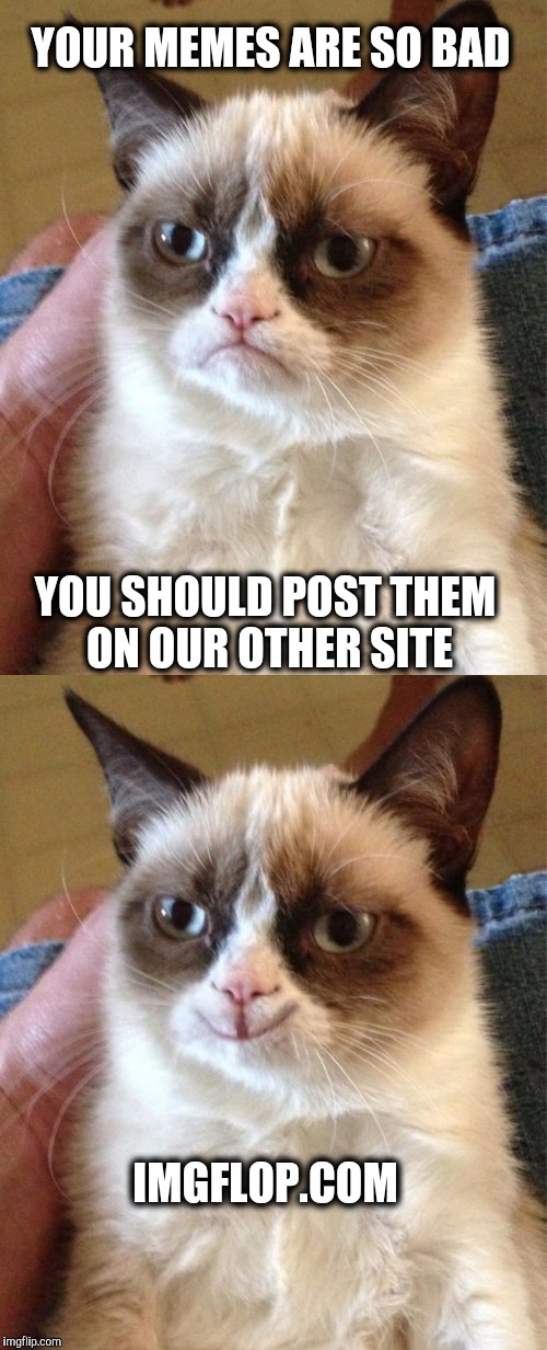 Grumpy moderator  | YOUR MEMES ARE SO BAD; YOU SHOULD POST THEM ON OUR OTHER SITE; IMGFLOP.COM | image tagged in memes,grumpy cat,imgflip | made w/ Imgflip meme maker