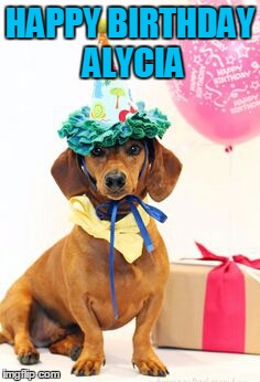 dachshund birthday  | HAPPY BIRTHDAY ALYCIA | image tagged in dachshund birthday | made w/ Imgflip meme maker