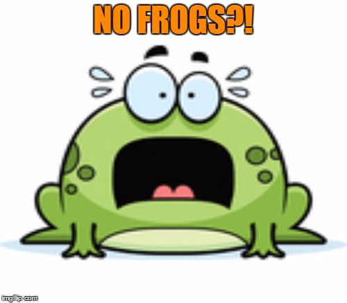 NO FROGS?! | made w/ Imgflip meme maker