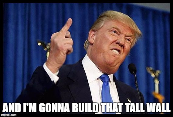 AND I'M GONNA BUILD THAT TALL WALL | made w/ Imgflip meme maker