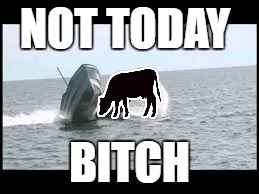 NOT TODAY B**CH | made w/ Imgflip meme maker