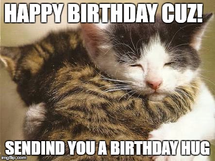 Hug cats | HAPPY BIRTHDAY CUZ! SENDIND YOU A BIRTHDAY HUG | image tagged in hug cats | made w/ Imgflip meme maker