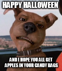 Scrappy Doo | HAPPY HALLOWEEN; AND I HOPE YOU ALL GET APPLES IN YOUR CANDY BAGS | image tagged in scrappy doo | made w/ Imgflip meme maker