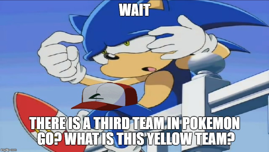 Nobody Knows :( | WAIT; THERE IS A THIRD TEAM IN POKEMON GO? WHAT IS THIS YELLOW TEAM? | image tagged in sonic can't remember - sonic x,pokemon go,pokemon go is life,pokemon go team instinct,team instinct | made w/ Imgflip meme maker
