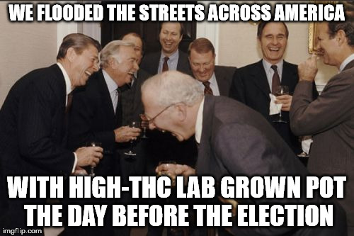 Laughing Men In Suits Meme | WE FLOODED THE STREETS ACROSS AMERICA WITH HIGH-THC LAB GROWN POT THE DAY BEFORE THE ELECTION | image tagged in memes,laughing men in suits | made w/ Imgflip meme maker