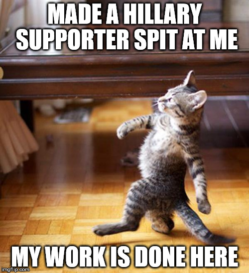 strutting kitten | MADE A HILLARY SUPPORTER SPIT AT ME; MY WORK IS DONE HERE | image tagged in strutting kitten | made w/ Imgflip meme maker
