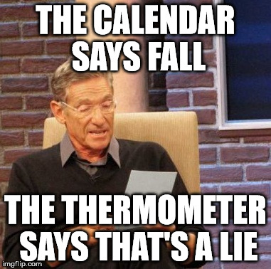 Maury Lie Detector | THE CALENDAR SAYS FALL; THE THERMOMETER SAYS THAT'S A LIE | image tagged in memes,maury lie detector,autumn,hot | made w/ Imgflip meme maker