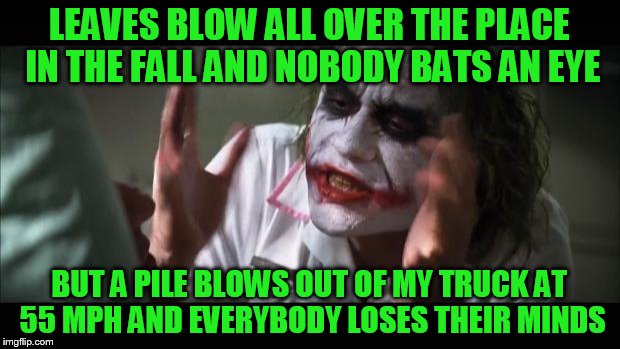 So the guy passes me and flips me the bird | LEAVES BLOW ALL OVER THE PLACE IN THE FALL AND NOBODY BATS AN EYE; BUT A PILE BLOWS OUT OF MY TRUCK AT 55 MPH AND EVERYBODY LOSES THEIR MINDS | image tagged in memes,and everybody loses their minds | made w/ Imgflip meme maker