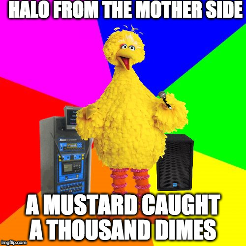 Big Bird Sings Adele  | HALO FROM THE MOTHER SIDE; A MUSTARD CAUGHT A THOUSAND DIMES | image tagged in wrong lyrics karaoke big bird,adele,hello,adele hello | made w/ Imgflip meme maker