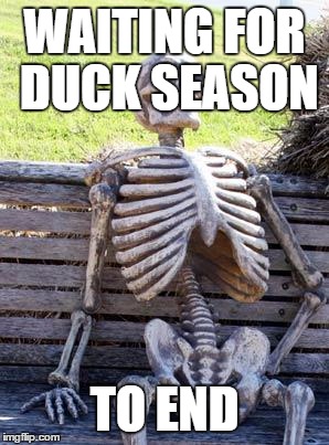 Waiting Skeleton | WAITING FOR DUCK SEASON; TO END | image tagged in memes,waiting skeleton | made w/ Imgflip meme maker