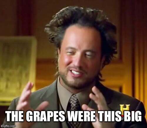 THE GRAPES WERE THIS BIG | image tagged in memes,ancient aliens | made w/ Imgflip meme maker