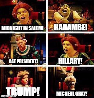 2016 in a nutshell | HARAMBE! MIDNIGHT IN SALEM! HILLARY! CAT PRESIDENT! TRUMP! MICHEAL GRAY! | image tagged in shrek,hillary clinton,hillaryclinton,donald trump,donaldtrump,harambe | made w/ Imgflip meme maker