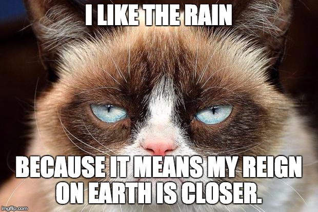 Grumpy cat glare | I LIKE THE RAIN; BECAUSE IT MEANS MY REIGN ON EARTH IS CLOSER. | image tagged in grumpy cat glare | made w/ Imgflip meme maker