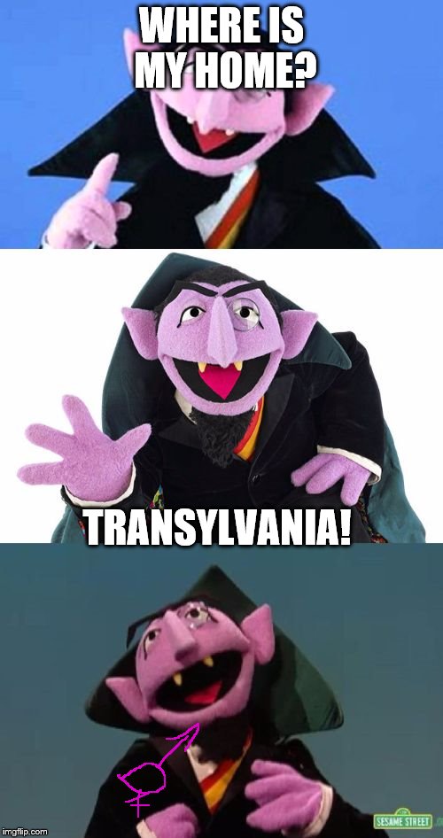 Bad Pun Count | WHERE IS MY HOME? TRANSYLVANIA! | image tagged in bad pun count | made w/ Imgflip meme maker
