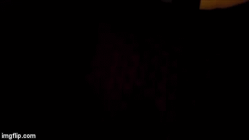 Monsieur Cucurbita pumpkins | image tagged in gifs | made w/ Imgflip video-to-gif maker