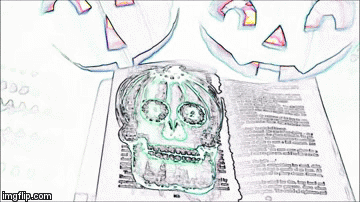Monsieur Cucurbita xray | image tagged in gifs | made w/ Imgflip video-to-gif maker