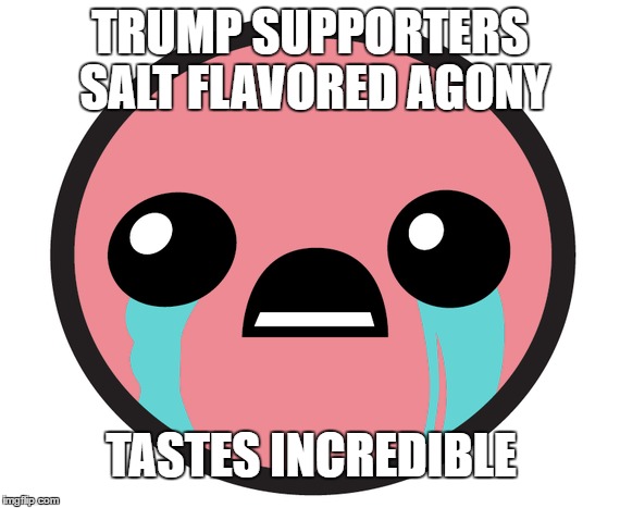 BibleTrump | TRUMP SUPPORTERS SALT FLAVORED AGONY; TASTES INCREDIBLE | image tagged in politics lol | made w/ Imgflip meme maker