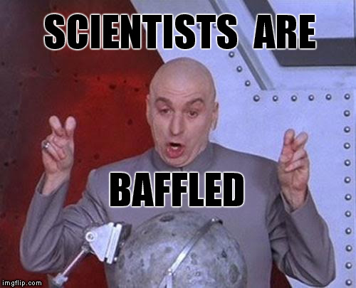 According To Social Media Reports | SCIENTISTS  ARE; BAFFLED | image tagged in memes,dr evil,funny,clueless,science | made w/ Imgflip meme maker