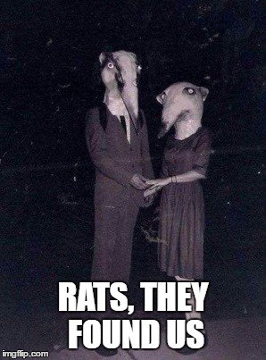 RATS, THEY FOUND US | made w/ Imgflip meme maker